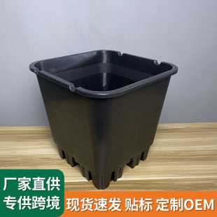 �{ݮ���|��������  �Ӂ���   �{ݮ�Nֲ�Ӂ���һ�����lԴ�^���S