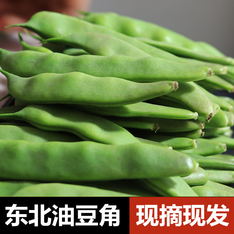 东北油豆角九月青吉林省大宽油豆角现摘新鲜当季嫩蔬菜一点红|undefined