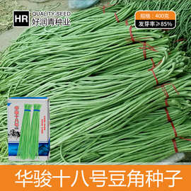 华骏十八长豆角种子早熟翠绿色豇豆种子粗条长豆架豆籽春夏秋季种