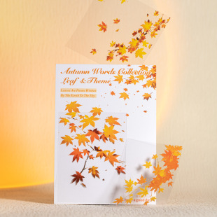 ���õ�һ��PET�N�� ���Z��ϵ�� ���~���}�֎�DIY�ز��b��N20��