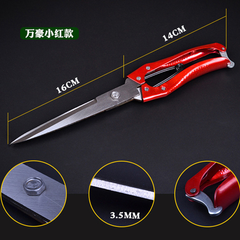 4002362164_557681559