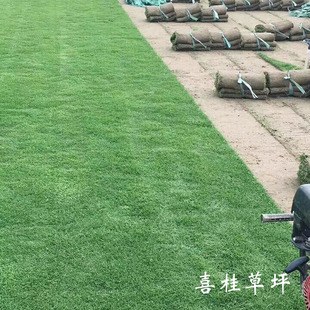 ɳƺ��Ľ��첥������  �������̺  ��������Ƥ  �׃��@�G������