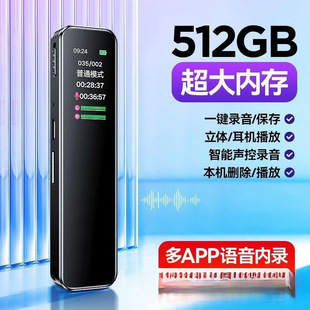 Student Class Recorder Recorder Ultra-Long Standby Professional Wholesale Recorder Zhiku Portable Small High-Definition