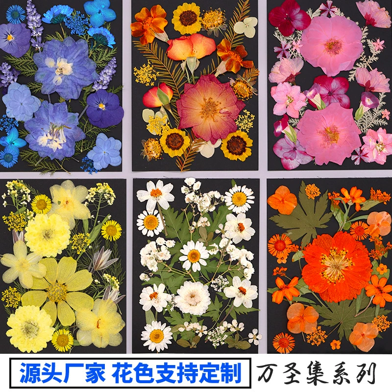 Тисненое тиснение DIY сушеный цветок наклейка лицо макияж ремешка материал настоящий цветок тиснение ручной клей фоторамка закладка материал пакет