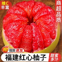 福建红心柚子蜜柚新鲜水果当季正宗红肉葡萄甜柚时令大果琯溪红柚