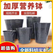 ?�I�B�����籭����Nֲ�����ψ@ˇ���ܷN����ľ�������Ǥ��һ��