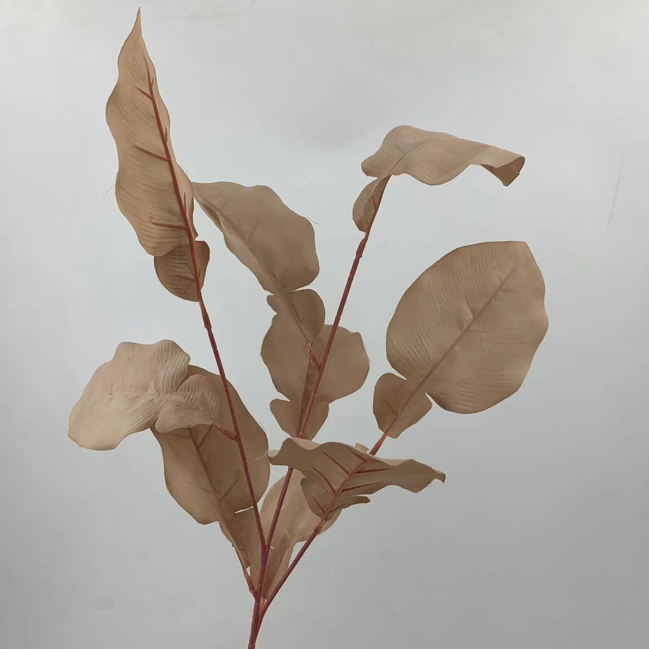 Grapefruit leaves-coffee