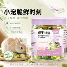 冻干孢子甘蓝宠物零食 兔子化毛蔬菜干 金丝熊龙猫豚鼠磨牙辅食罐