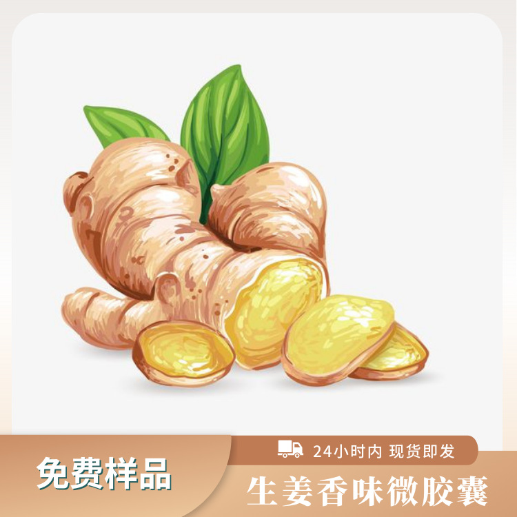 生姜香味微胶囊 面料加香整理剂 芳香助剂 洗衣液内衣加香助剂