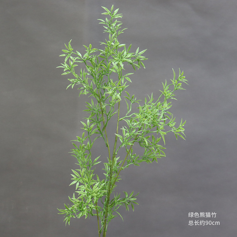 Rama de bambú panda verde