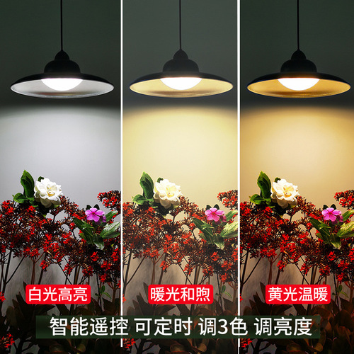 Yinglang Solar Pendant Light Outdoor Garden Light Garden LED Lighting Creative Hanging Light Cross-border Edison Retro Light
