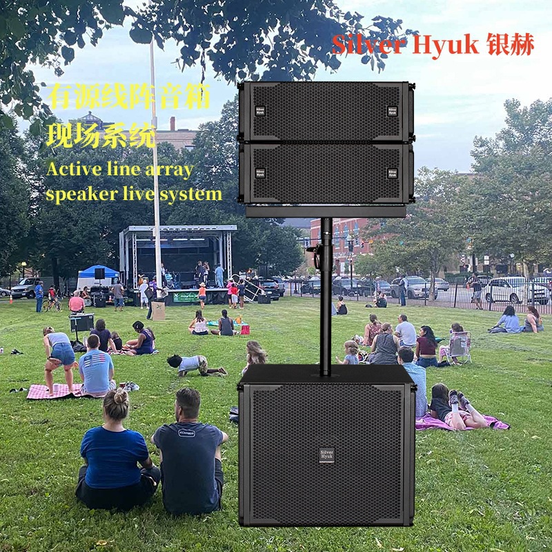 Equipo de sonido de escenario móvil de rendimiento al aire libre doble altavoz de matriz lineal de 6.5 pulgadas conjunto de sonido de matriz lineal activa
