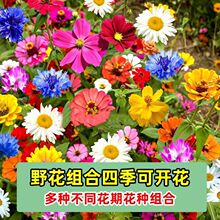 ҰMϷNļN_Nѻ̨ͥԺNl