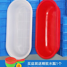 澡盆洗澡盆大人長方形大號家用塑料洗衣狗狗水產養魚龍蝦長盆兒童