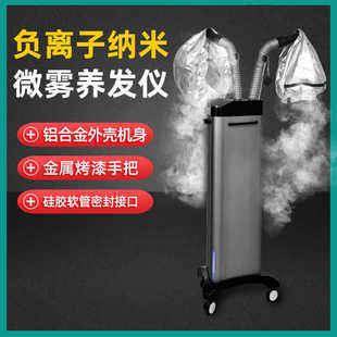 New Chinese herbal medicine negative ion nano micro-fog hair care instrument hair care machine head skin care SPA ozone oil fumigation