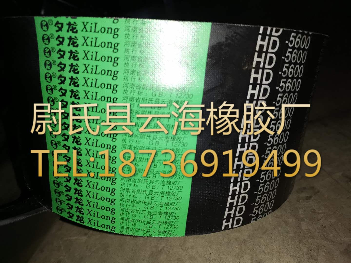 HD-5600 普通联组带  D型联组三角带