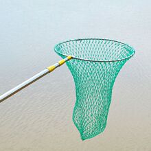 4׹RP䓳WW3~ƾW2.5~OW