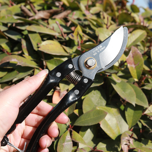 Fruit tree shears, pruning scissors, labor-saving pruning scissors, branch and flower branch gardening shears, flower shears, garden tools wholesale