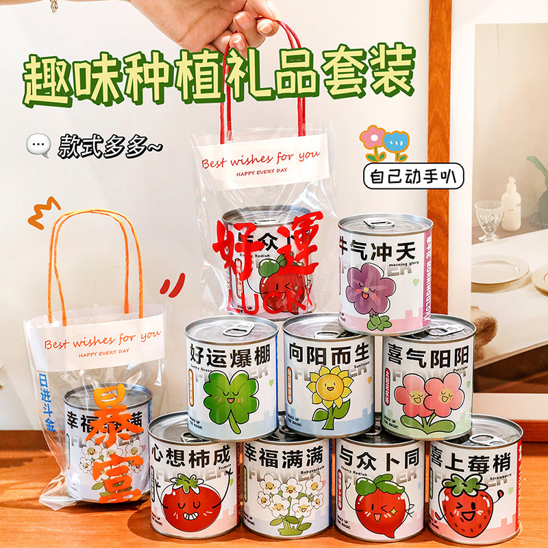 Creative Planting Blind Box Gift Set Primary School Students Desktop Ornaments Potted Plants Kidsren's Seed Plants Canned Small Potted Plants