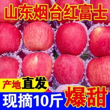红富士山东烟台栖霞脆甜整箱新鲜当季水果平果批发包邮厂家批发