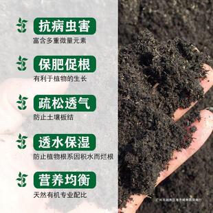 ����÷�ļ��ĠI�I����С�����d�N���ʕһ��̨�N�˻����I�B��ͨ��