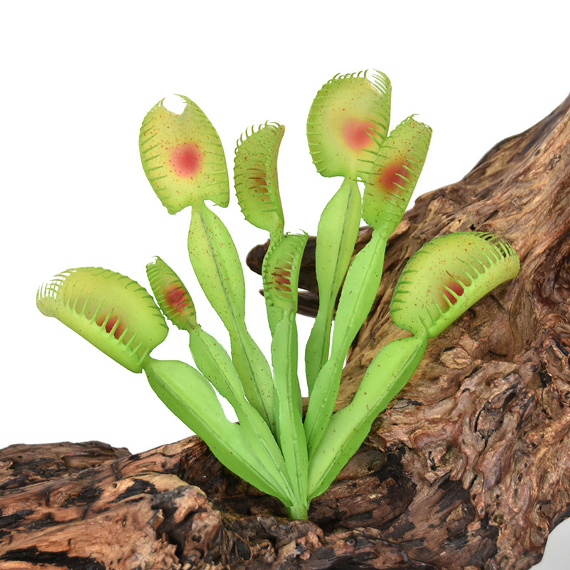 High-Quality Plastic Succulent Artificial Plant That Simulates a Carnivorous Plant, Flytrap, Indoor Decoration, Fake Green Plant for Atmosphere Arrangement High-Quality Plastic Succulent Artificial Plant That Simulates a Carnivorous Plant, Flytrap, Indoor Decoration, Fake Green Plant for Atmosphere Arrangement