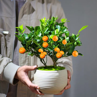 ��ۘ������ļ��^�p������������ʳ���ϱ����̨ͥԺ�Nֲ����Y��