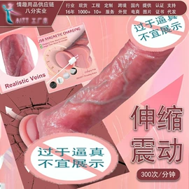 震动棒;情趣跳蛋;后庭用品