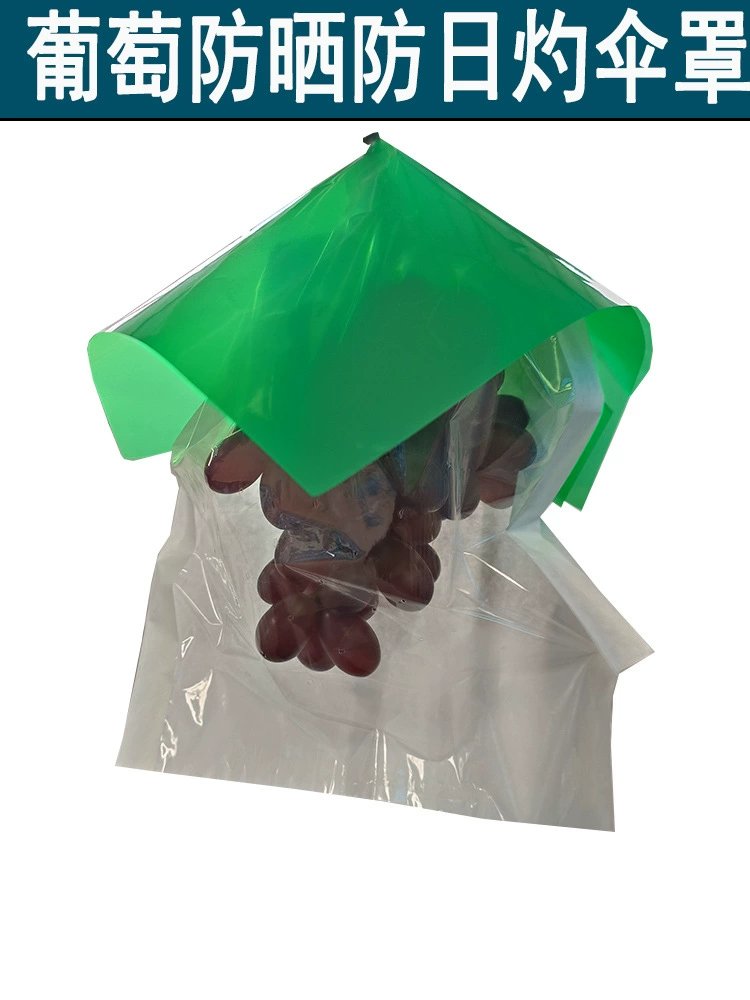 [Прямые продажи с фабрики] Зонтик от солнца с виноградом, водонепроницаемый чехол для зонта с солнечной розой, зонтик для защиты от солнца, зонтик от птиц, сумка для зонта с виноградом