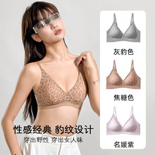 qc���y�۔n����Ů�Ըн���ϵ�����ո�����´�Ůʿ����2025�¿�