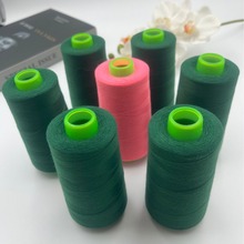 �S�����a�N��603��]�p�x�� ������p�x�� ���b��