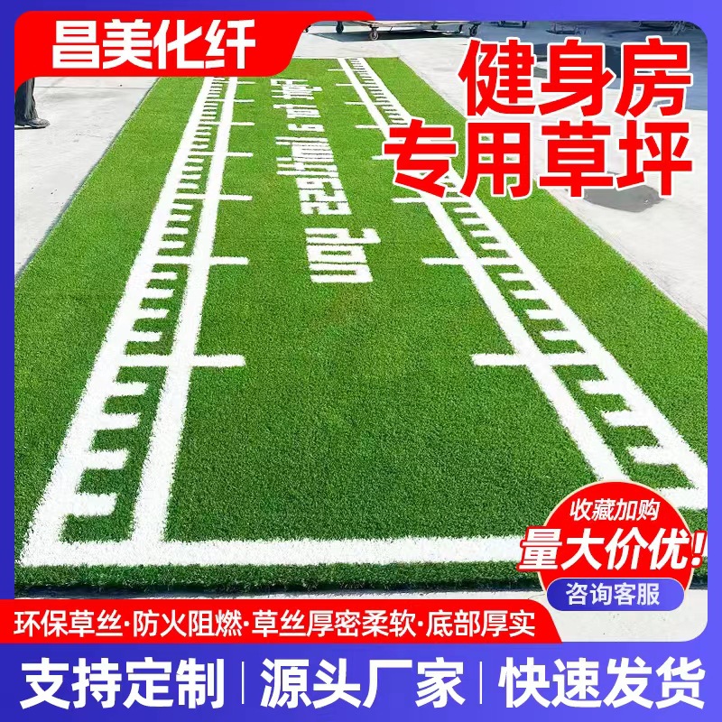 健身房人工草皮训练草坪刻度白线功能图案LOGO地毯私教运动垫子