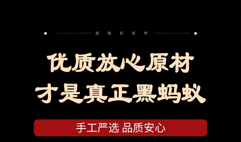 Dried Black Ant Whole Insects Hei Ma Yi for Traditional Herbal Wine Infusion 50g Bag in use