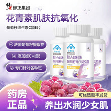 �ϰ���������ѾS����Eܛ�z��ȥ�S��ȸ�ߺ��c���{�ڷ��B�