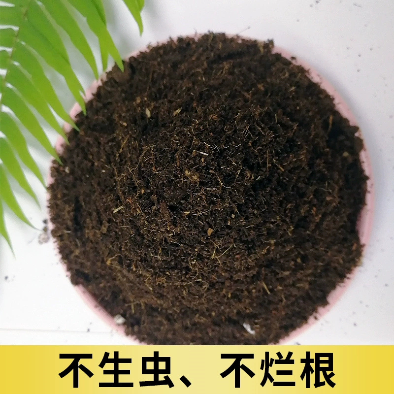 Питательная почва Цветочная посадка доступная почва посадка почвы овощная посадка цветок органический почвенный горшок Бытовая сочная Цветочная почва
