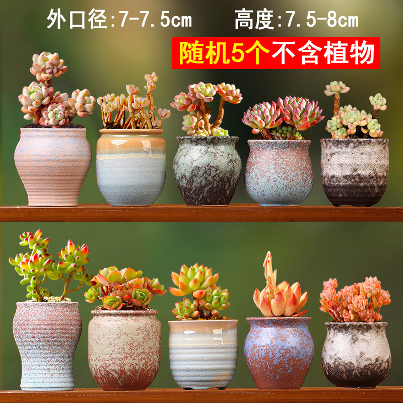 e7677820-9ff8-4b5a-b6e0-c61bcfe921f0.jpe