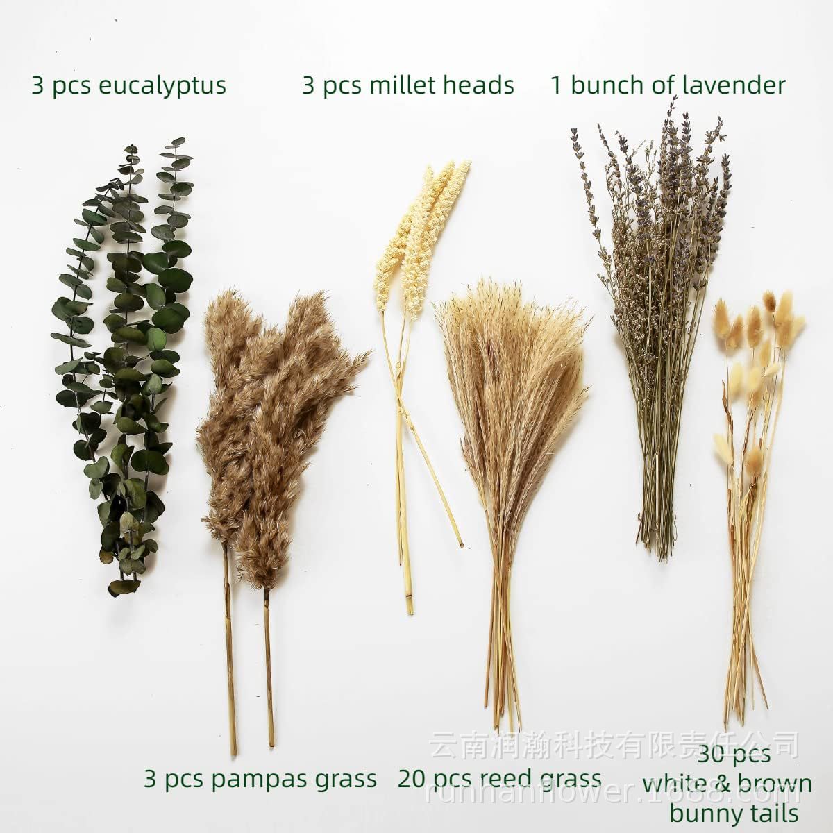 조합 100a-(상자 제외)