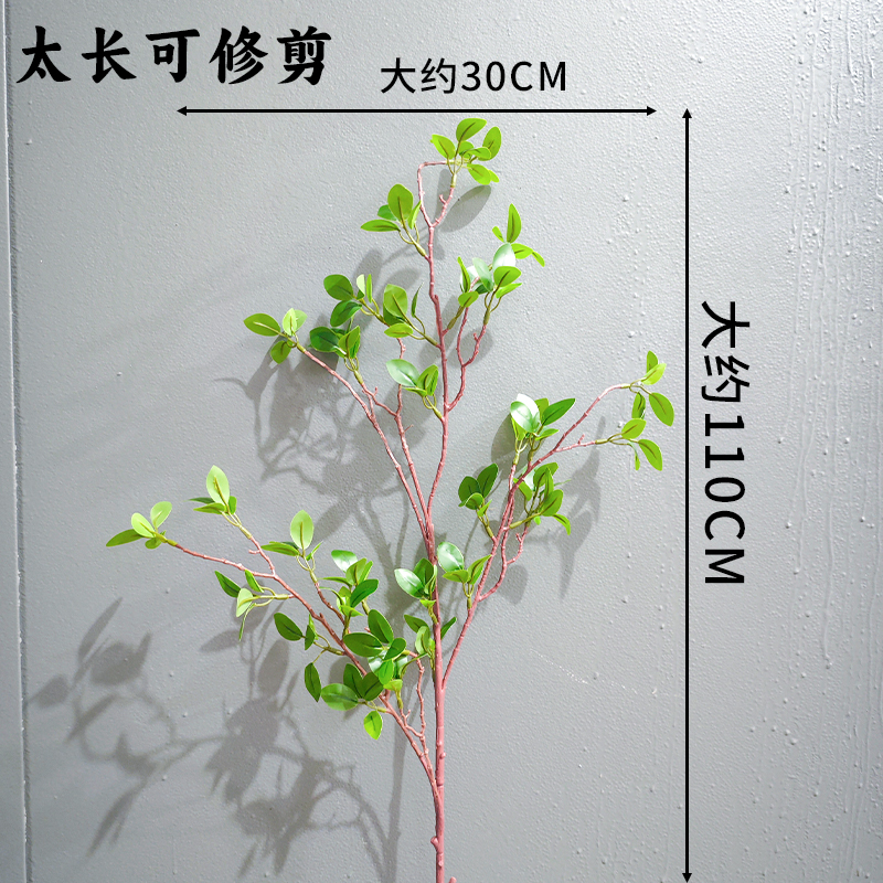 酒店菜品摆盘装饰点缀冷菜装饰花草摆盘刺身绿毛球三文鱼摆件围边|undefined