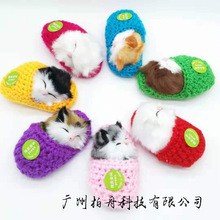 �羳���u���Q�����؈�Д[�����������С؈���Ѓ�ͯ��߶Y��