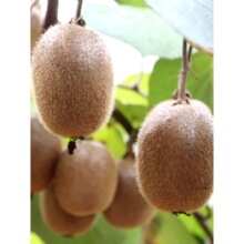 ��ɽ����J�������r�Fժˮ�����]�������G����؛���殐������Y��