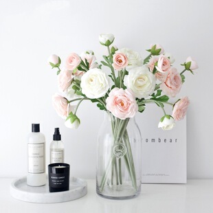 2�^ɽ�軨 ����ɽ�軨 �����軨 ��c�Ĕz���� �Ͳ͏d�廨�[��