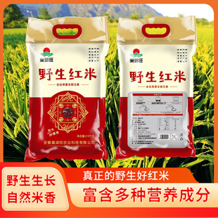 ����������Ұ���t������s�Z����5�����lҰ���t�׼t����