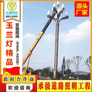 Huateng Yulan Light Municipal Square Landscape Light 8/12 m Scenic led Outdoor Light Project Road Landscape Street Light