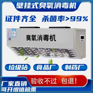 Wall-mounted ozone disinfection machine food factory ozone generator workshop garbage sorting room commercial sterilization and deodorization machine