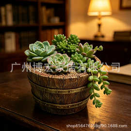 跨境热销创意防木头多肉花盆家居办公室装饰绿植微景观拼盘摆件