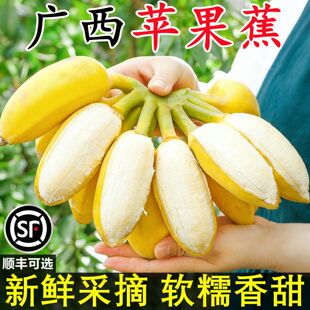 ���ڏV���O������Ȼ���ش���㽶10�ﮔ��С�׽����rˮ���������l