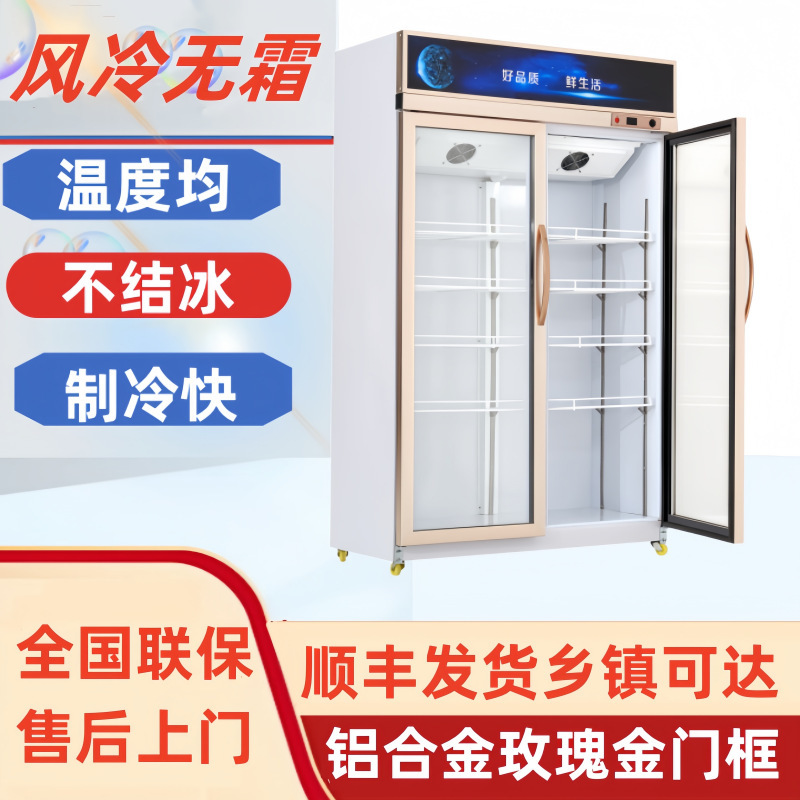 冷藏柜 展示柜 保鲜柜 立式双门铜管商用饮料冷饮蔬菜水果柜冰柜