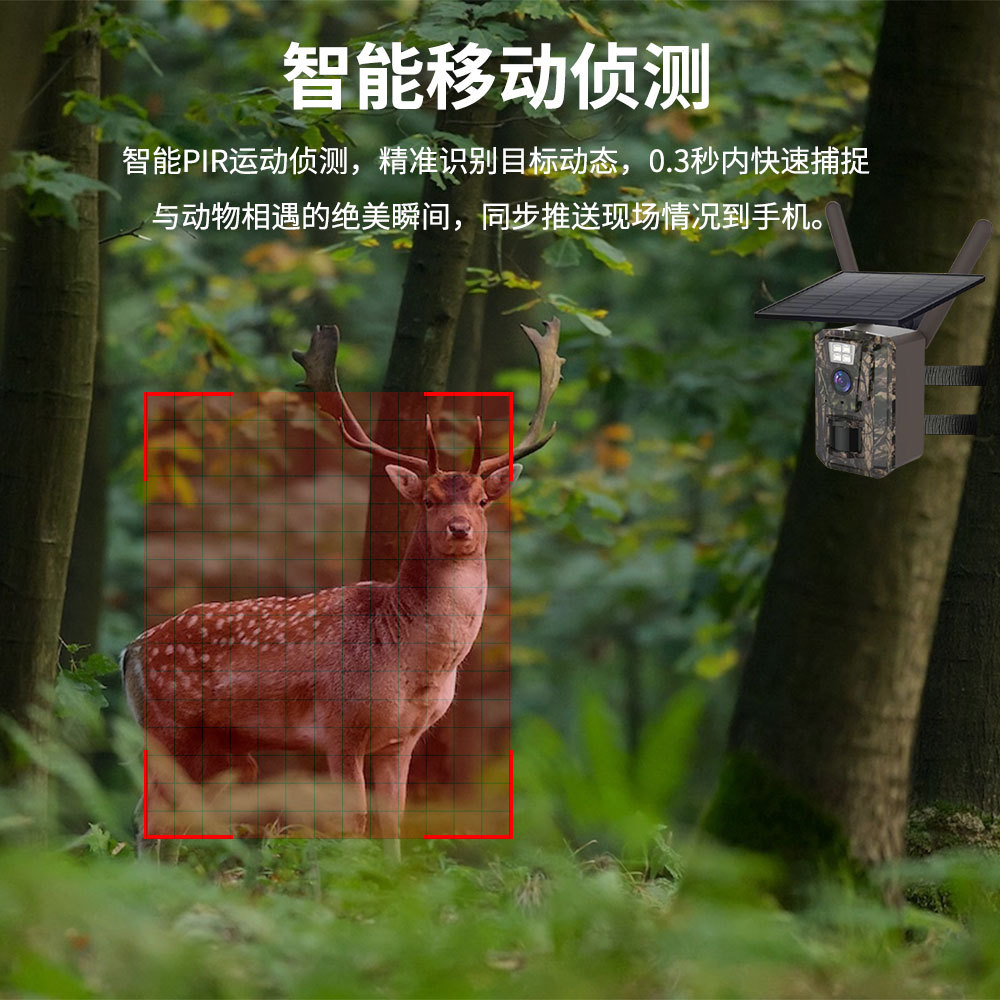Amazon al aire libre 4G solar monitor protección forestal HD infrarrojos visión nocturna detección cámara de caza
