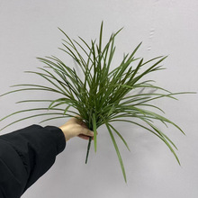 �����z̦�����Լ��L�~�����޾Ƶꙻ������¶�I�L�쾰�҃�ܛ�b�