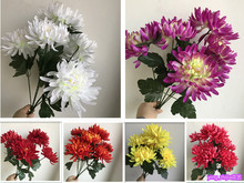 ���潁���ٽ������������뽁�������Sɫ������ɫ�b�֧�[�Ż�ˇ